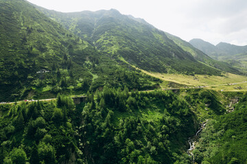 Beautiful aerial summer view of the forest in the mountains and valley or hills. 