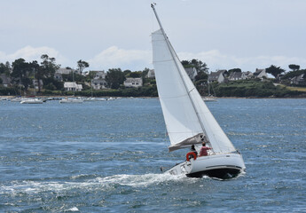 Un bateau à voile dans le gold du Morbighan en Bretagne. 