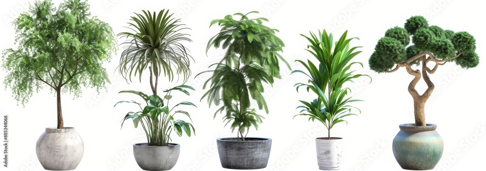 Poster three-dimensional rendering of plants. beautiful plants in a three-dimensional rendering.