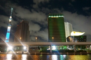 Night Tokyo. Sumida River