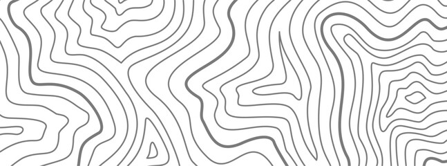 Topographic map background. Topographic contour map background. Contour background. Abstract wavy lines background. Background with topographic contours. 