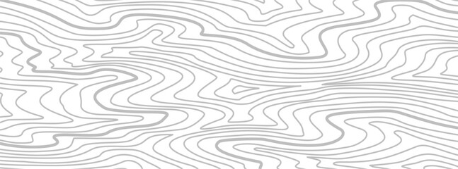 Topographic map background. Topographic contour map background. Contour background. Abstract wavy lines background. Background with topographic contours. 