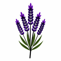 Obraz premium illustration of a plants and flowers