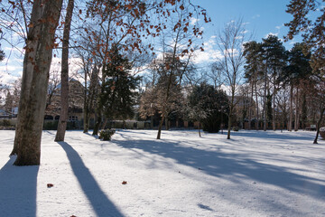 Snow-covered landscape.