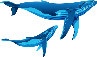 Humpback whale with calf. Minke whales. Vector cartoon character isolated on white background. Game object for computer games, printing, notebooks.