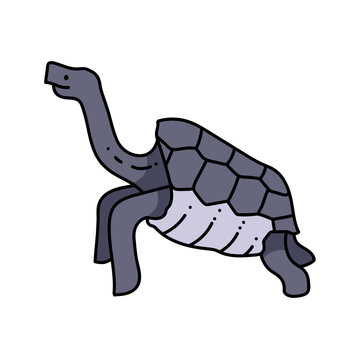 gray turtle walking forward clip art preview