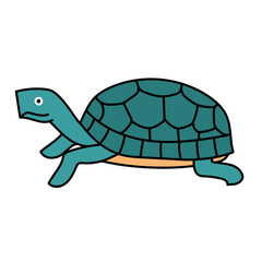 tortoise animal reptile pet hand drawn color vector illustration