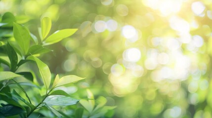 Naklejka premium close up of leaves on a branch
