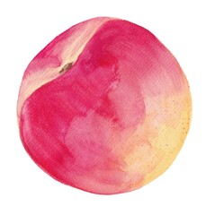 Fototapeta premium Watercolor illustration of cute peach. Fresh and colorful fruit. 
