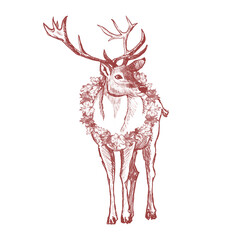 Vintage Autumn illustration. Pencil Sketch of Deer and Falling Leaves on a white Background