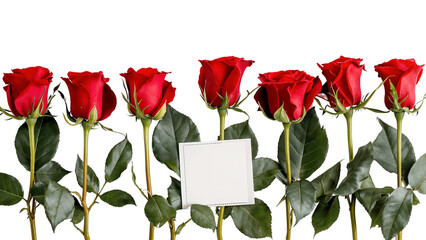 Obraz premium Red roses with a blank white card, isolated on transparent background