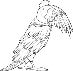 Parrot Sailor Sailor hat Animal Vector Graphic Art Illustration