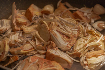 close up shot of a young jackfruit