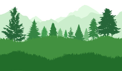 Fototapeta premium Spruce forest landscape silhouette. Pine forest landscape silhouette