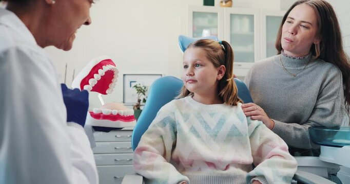 Child, women and dentist with teeth model for hygiene, demonstration and education of tooth extraction procedure Girl, mother and orthodontist of interactive learning, health advice and dental clinic