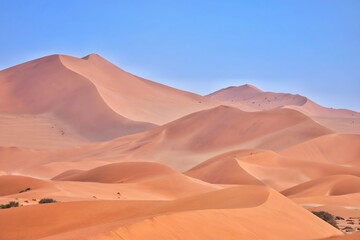 Expansive Desert Sand Dunes