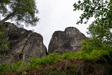 A mountain range with a forest in the background. The sky is cloudy and the trees are green