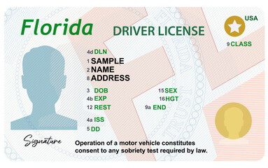 Florida driver's license isolated on white background. Person driver license