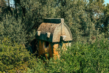 lycian stone tombs, tlos ancient town in kas antalya , turkey, sarcophagus-shaped tomb, only known from Lycia