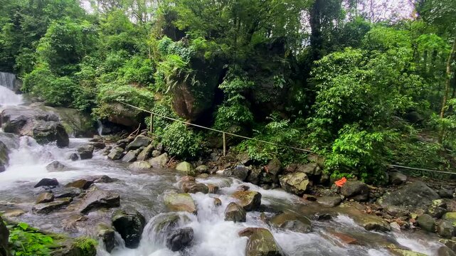 Double decker living root bridge  in nongriat village in cherrapunjee meghalaya India. This bridge is formed by training tree roots over years to knit together.