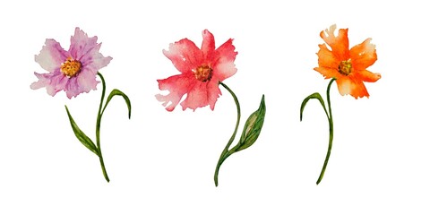 Set of watercolor isolated flowers with leaves, hand drawn on a white background.
