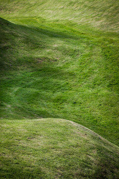 Scotish field. Background Texture.
