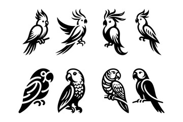 Conure bird logo icon, parfect for your business