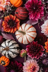 Fototapeta premium orange white black and purple striped pattern pumpkins on a dark purple background with vibrant brown, black and orange dahlias for Halloween and Thanksgiving
