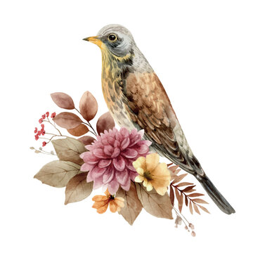recommend clip art: Autumn vector floral illustration clipart. Fall arrangement with Thrush bird, flowers and leaves. Hand painted illustration for greeting cards, invitations, print, fabric, floral poster and