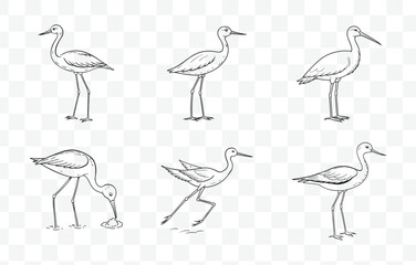 Obraz premium Print Stilt Line Art Vector Set Elegant and Detailed Stilt Bird Illustrations for Art and Design Projects