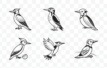 Print Comprehensive Woodpecker Line Art Vector Set for Detailed Illustrations and Designs