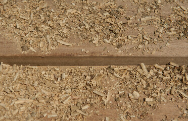 Sawdust piled on the ground