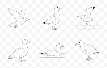 Print Detailed Gull Line Art Vector Set for Illustrations and Design Projects