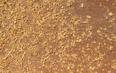 Sawdust piled on the ground