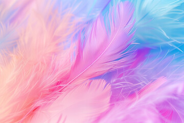 Beautiful pastel color background with soft feathers