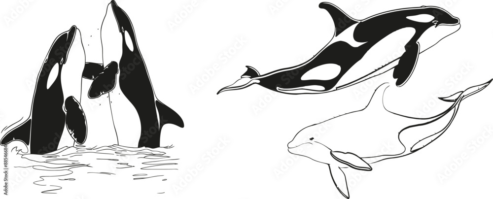 Leinwandbilder black linear sketch of a fish on white background with continuous line art style. modern illustratio