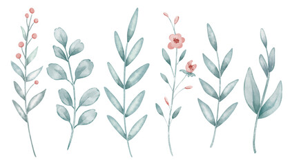 Watercolor illustration of leaves in green and blue colors and branches with red flowers. Drawing on isolated background for clipart. Plants for wedding invitations or greeting cards. © Alisles