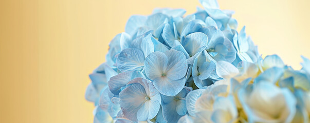 A close-up of a blue hydrangea flower on a pale yellow background, creating a soft and inviting wall art piece.