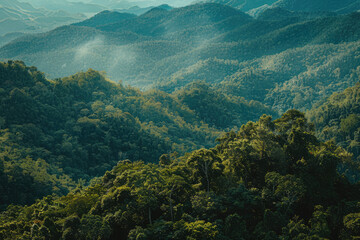 High angle view, fatasy ,forest, mountains, Thailand atmosphere
