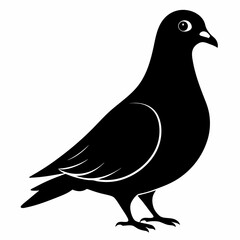 Pigeon Black silhouette