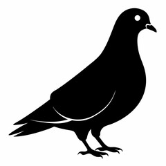 Pigeon Black silhouette