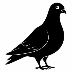 Pigeon Black silhouette