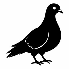 Pigeon Black silhouette