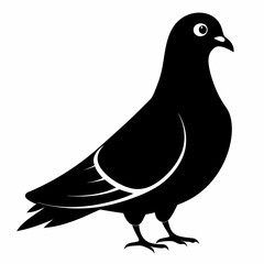 Pigeon Black silhouette