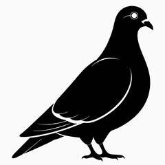 Pigeon Black silhouette