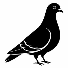 Pigeon Black silhouette