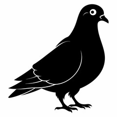 Pigeon Black silhouette