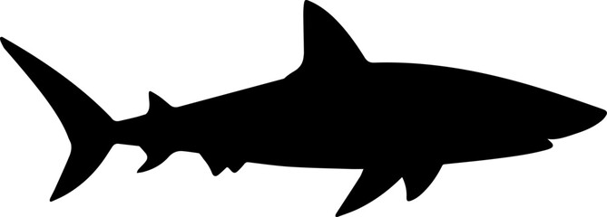 Illustration of a shark silhouette. Vector.