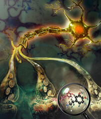 digital illustration of brain cells and their anatomy