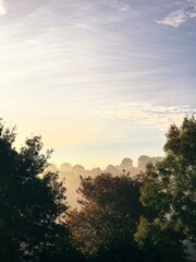 Misty Sunrise